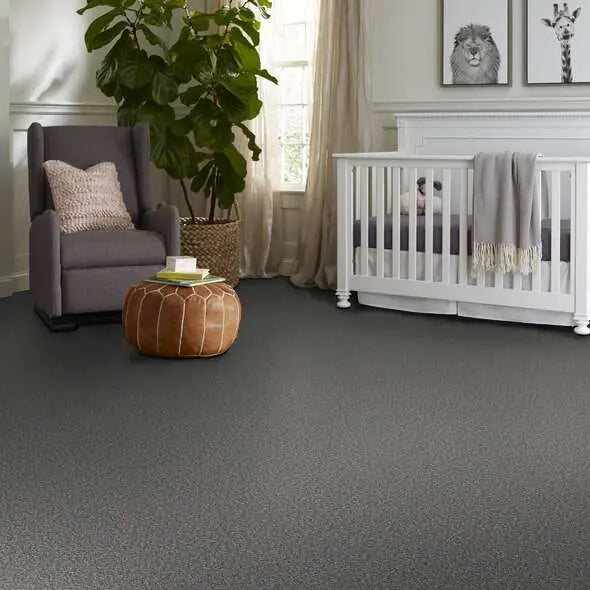 Colorwall - Tweed Comfort I - Carpet Shaw Floors