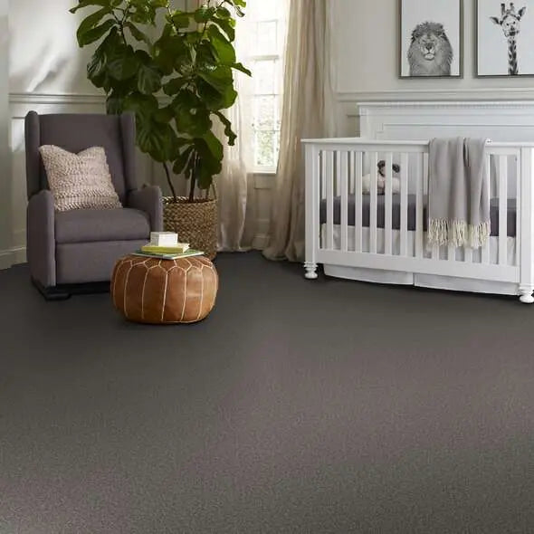 Colorwall - Tweed Comfort I - Carpet Shaw Floors