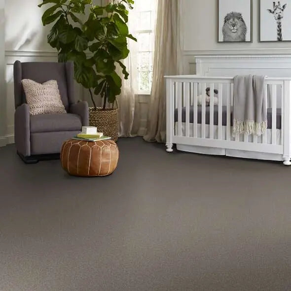 Colorwall - Tweed Comfort I - Carpet Shaw Floors