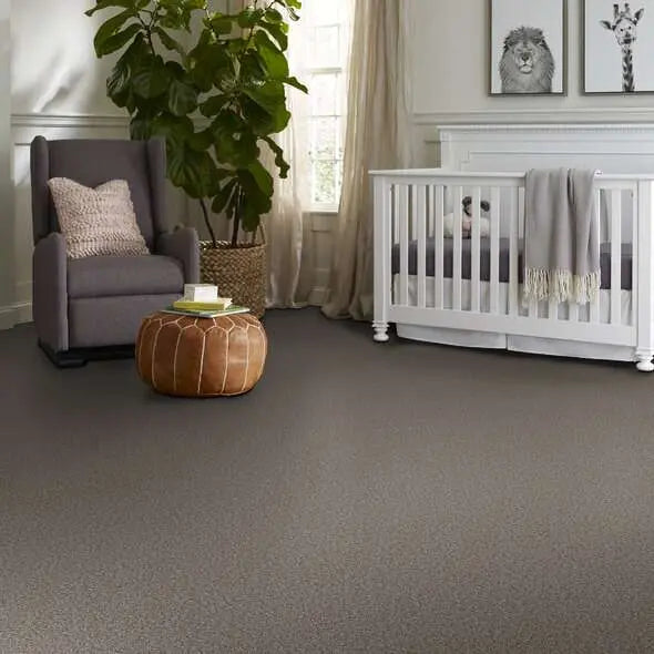 Colorwall - Tweed Comfort I - Carpet Shaw Floors