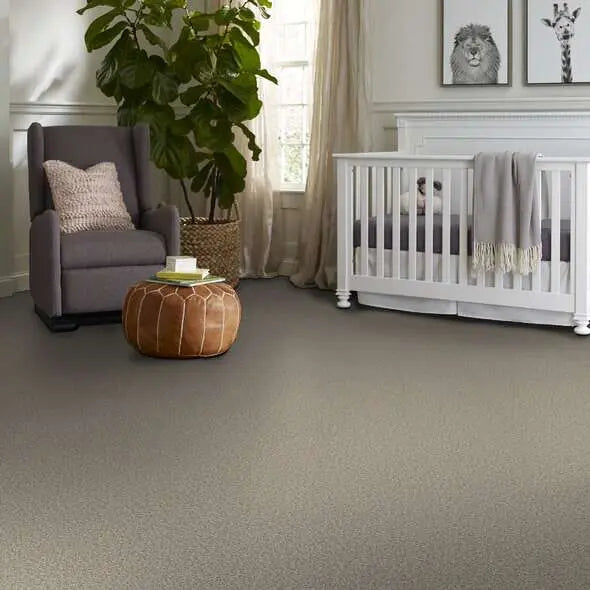 Colorwall - Tweed Comfort II - Carpet Shaw Floors