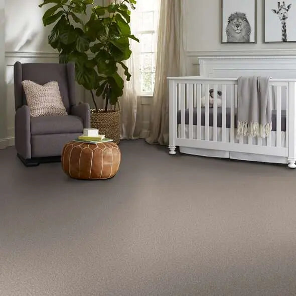 Colorwall - Tweed Comfort II - Carpet Shaw Floors