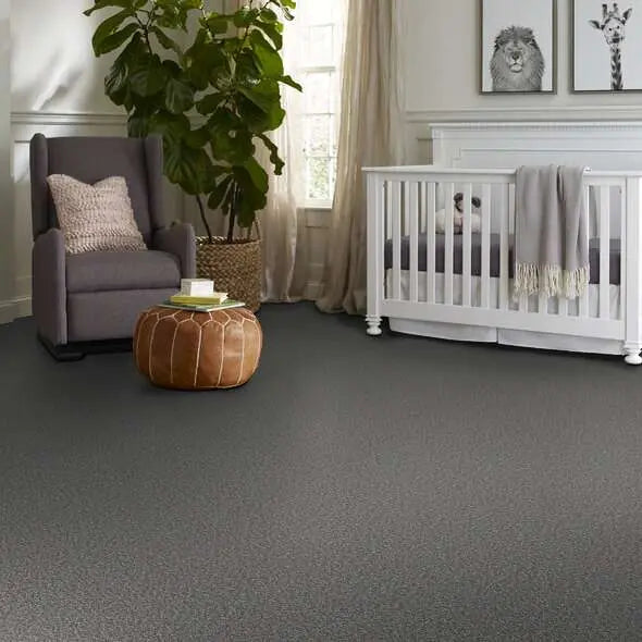 Colorwall - Tweed Comfort II - Carpet Shaw Floors