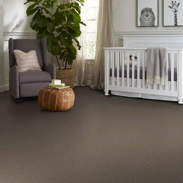 Colorwall - Tweed Comfort II - Carpet Shaw Floors