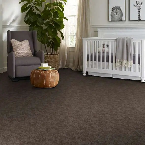 Caress - Free Spirit - Carpet Shaw Floors