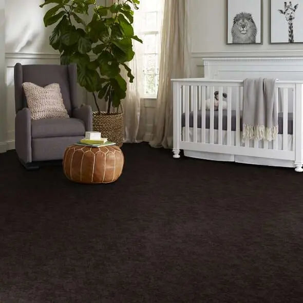 Caress - Free Spirit - Carpet Shaw Floors