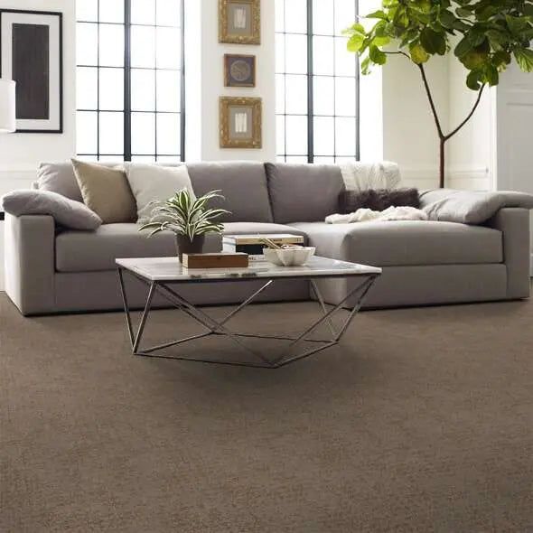 Caress - Artistic Presence - Carpet Shaw Floors