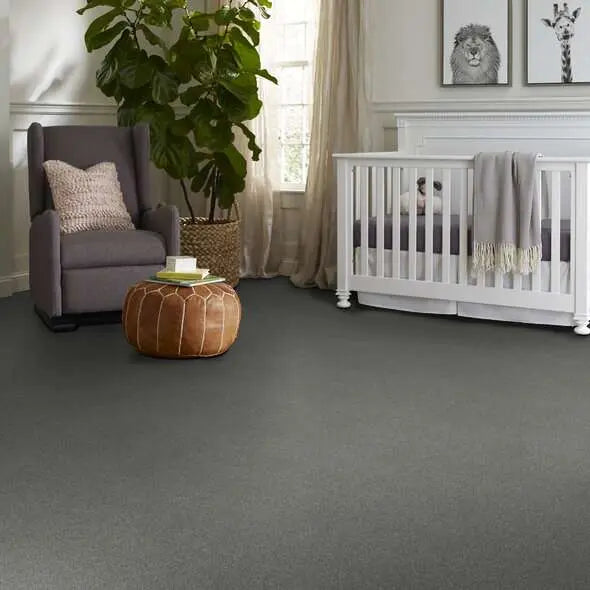 Caress - Cozy Harbor II - Carpet Shaw Floors