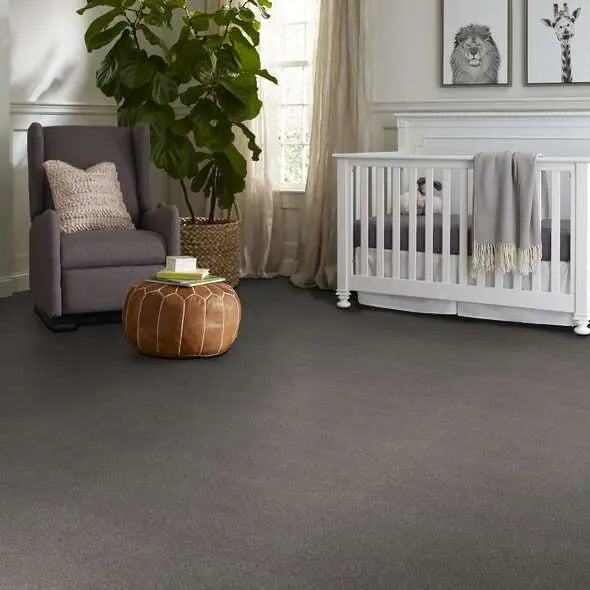 Caress - Cozy Harbor I - Carpet Shaw Floors