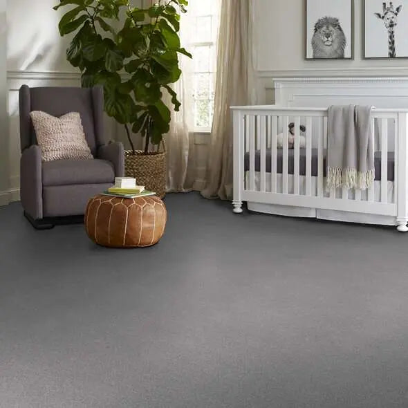 Caress - Cozy Harbor I - Carpet Shaw Floors