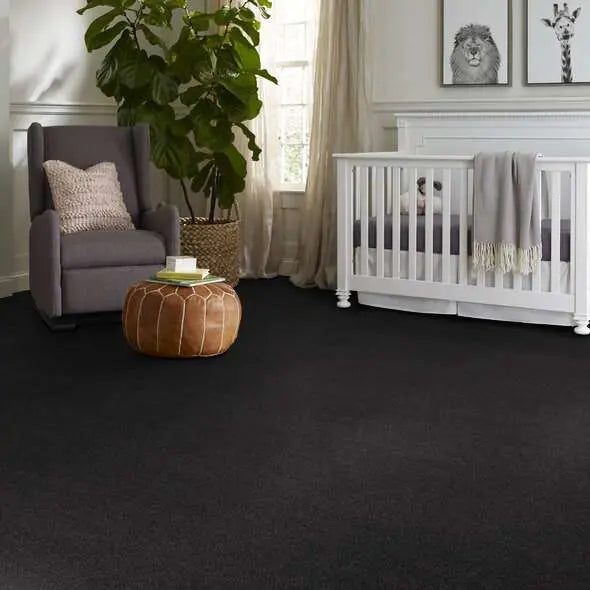 Caress - Cozy Harbor I - Carpet Shaw Floors