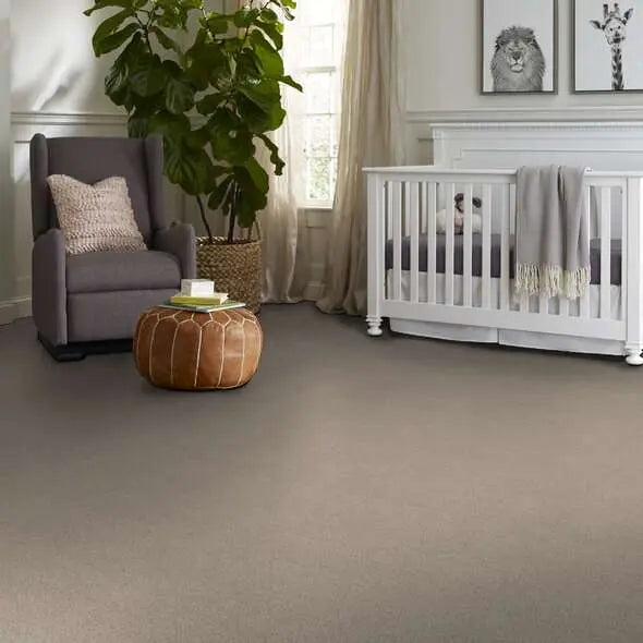 Caress - Cozy Harbor I - Carpet Shaw Floors