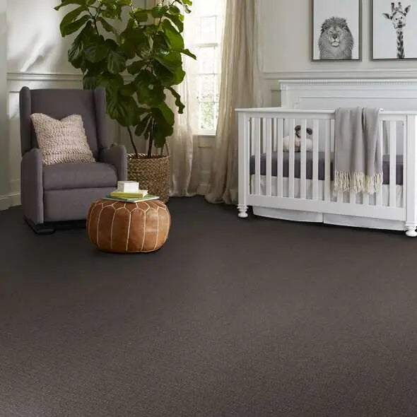 Caress - Luxe Classic - Carpet Shaw Floors