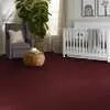 Caress - Cashmere I - Carpet Shaw Floors