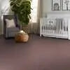 Caress - Cashmere I - Carpet Shaw Floors