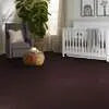 Caress - Cashmere I - Carpet Shaw Floors