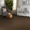 Caress - Cashmere II - Carpet Shaw Floors