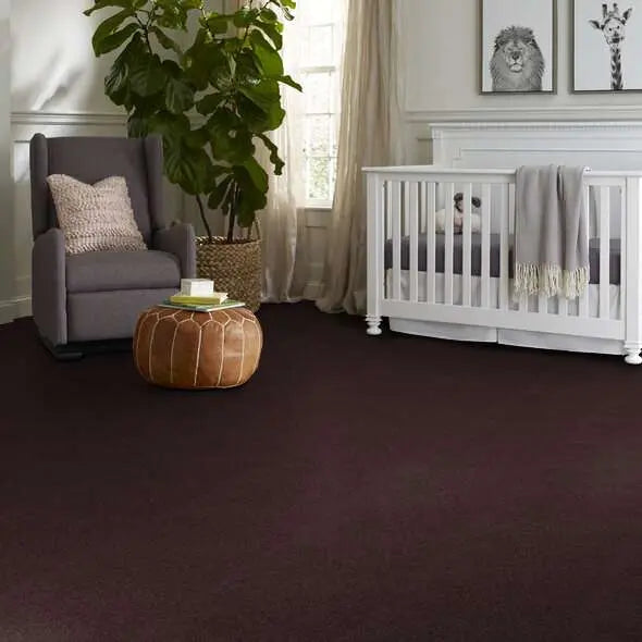 Caress - Cashmere IV - Carpet Shaw Floors