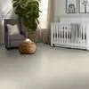 Caress - Cashmere Classic I - Carpet Shaw Floors