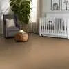 Caress - Cashmere Classic I - Carpet Shaw Floors