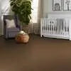 Caress - Cashmere Classic I - Carpet Shaw Floors