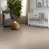 Caress - Cashmere Classic II - Carpet Shaw Floors