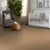 Caress - Cashmere Classic II - Carpet Shaw Floors