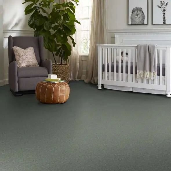 Caress - Cashmere Classic II - Carpet Shaw Floors