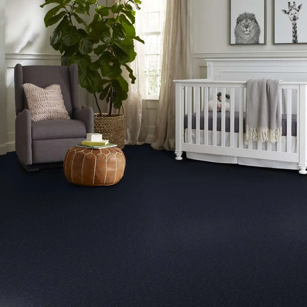 Caress - Cashmere Classic II - Carpet Shaw Floors