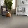 Caress - Cashmere Classic II - Carpet Shaw Floors