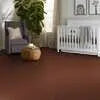 Caress - Cashmere Classic II - Carpet Shaw Floors