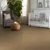 Caress - Cashmere Classic II - Carpet Shaw Floors