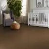 Caress - Cashmere Classic II - Carpet Shaw Floors