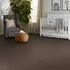 Caress - Cashmere Classic II - Carpet Shaw Floors