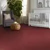 Caress - Cashmere Classic II - Carpet Shaw Floors