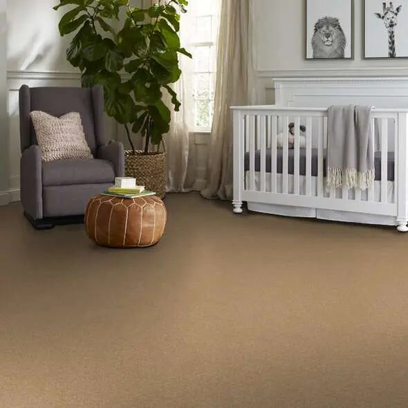 Caress - Cashmere Classic III - Carpet Shaw Floors