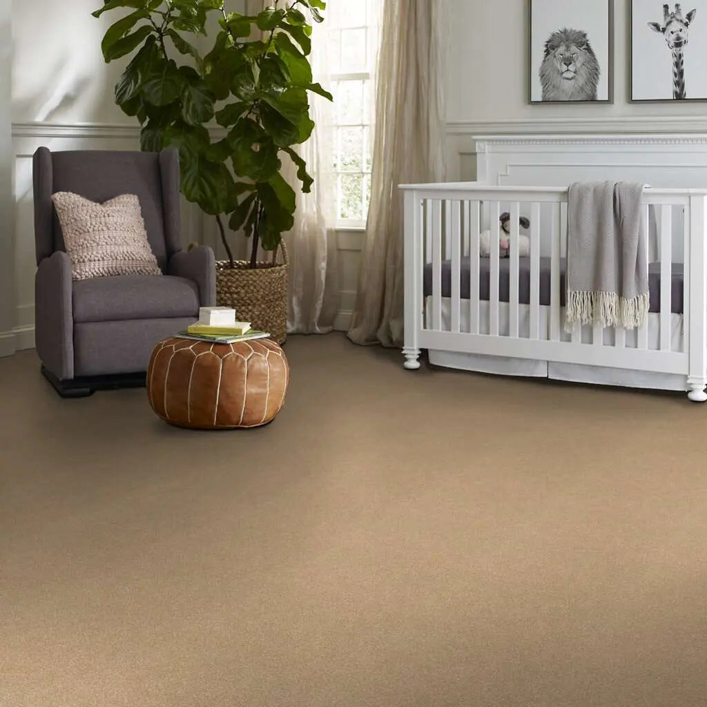 Caress - Cashmere Classic IV - Carpet Shaw Floors