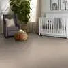 Caress - Cashmere Classic IV - Carpet Shaw Floors