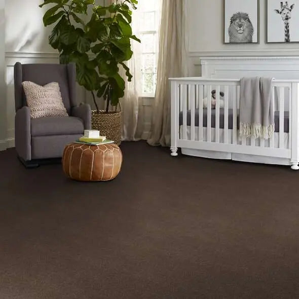 Caress - Cashmere Classic IV - Carpet Shaw Floors