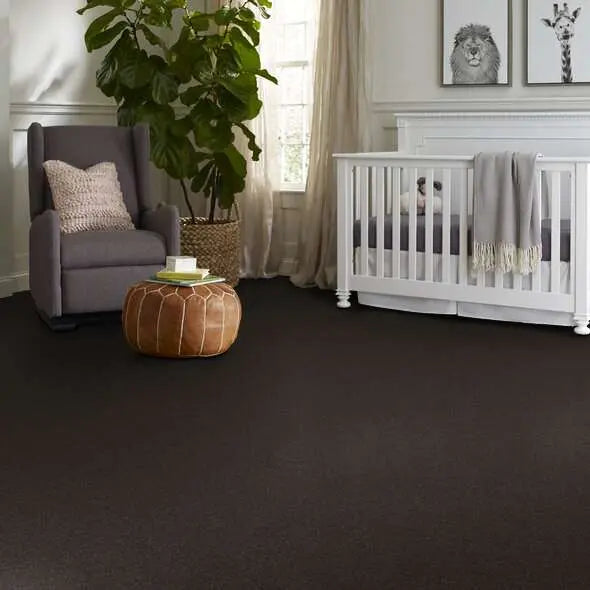 Caress - Cashmere Classic IV - Carpet Shaw Floors