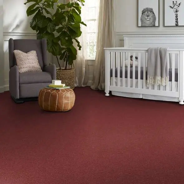 Caress - Cashmere Classic IV - Carpet Shaw Floors