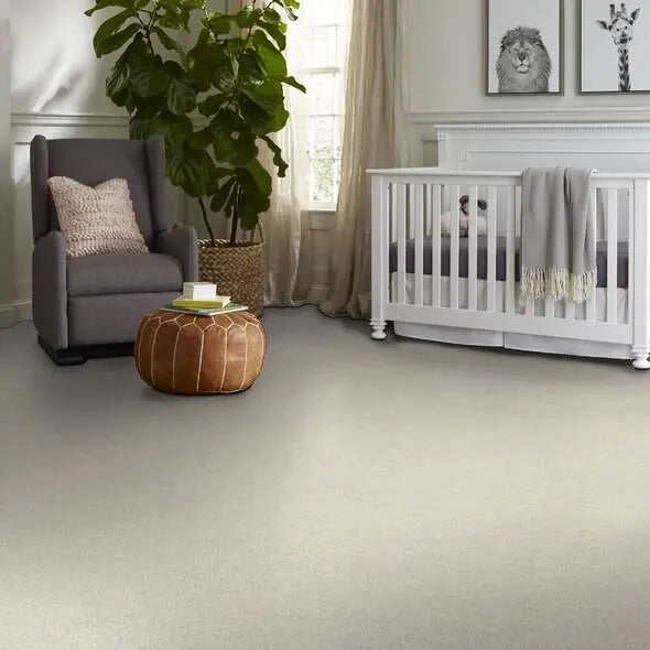 Caress - Ombre Whisper - Carpet Shaw Floors