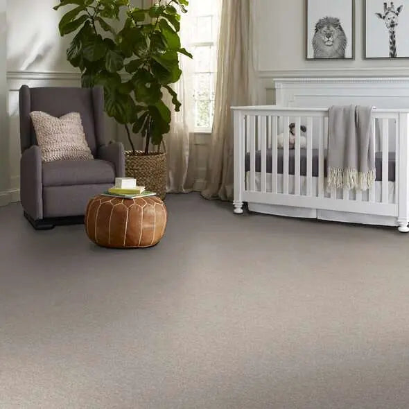 Caress - Ombre Whisper - Carpet Shaw Floors