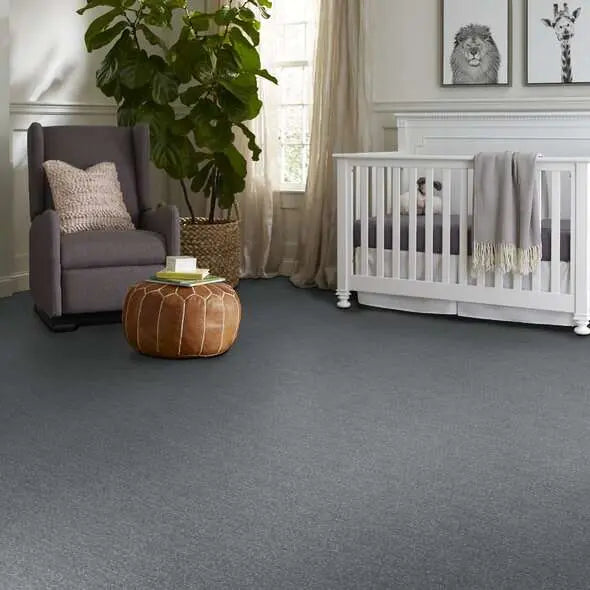 Caress - Ombre Whisper - Carpet Shaw Floors
