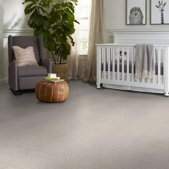Caress - Ombre Whisper - Carpet Shaw Floors