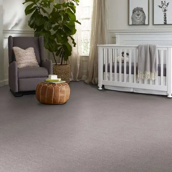 Caress - Ombre Whisper - Carpet Shaw Floors