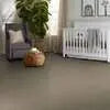 Caress - Angora Classic I - Carpet Shaw Floors