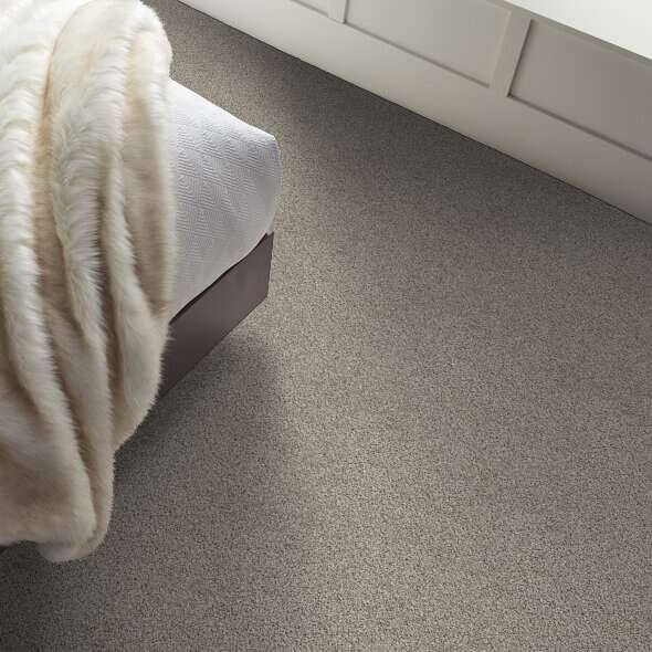 Caress - Angora Classic II - Carpet Shaw Floors