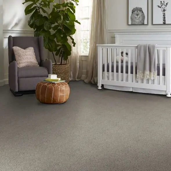 Caress - Angora Classic III - Carpet Shaw Floors
