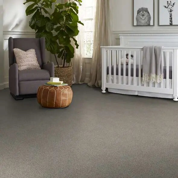 Caress - Angora Classic III - Carpet Shaw Floors
